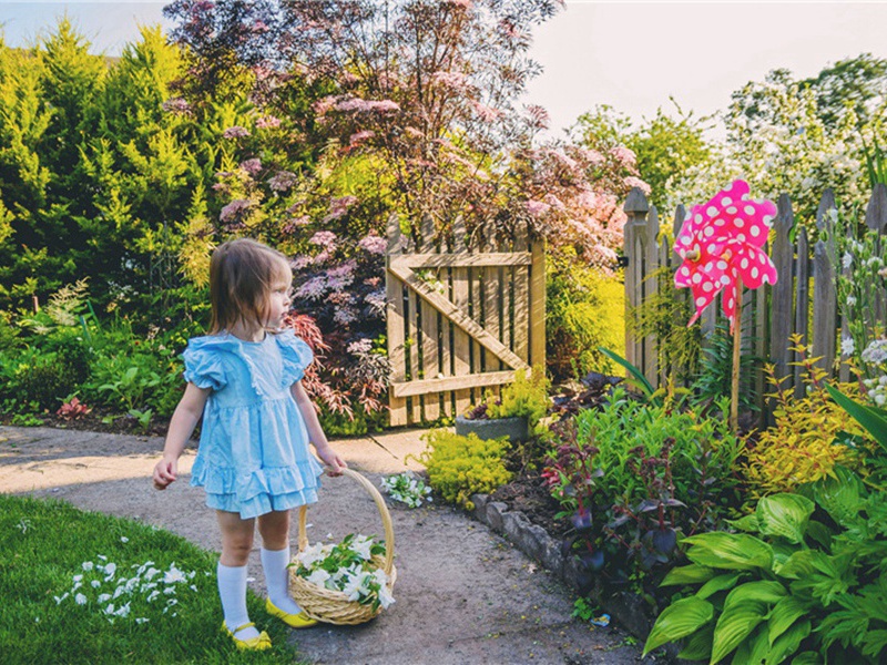 板桥造句,用板桥怎么造句子(149句)