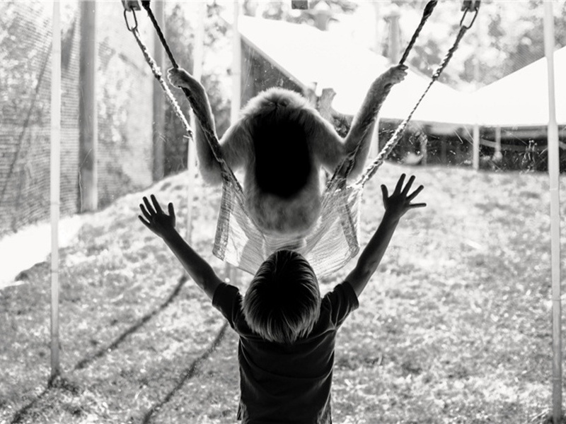 从文造句,用从文怎么造句子(180句)