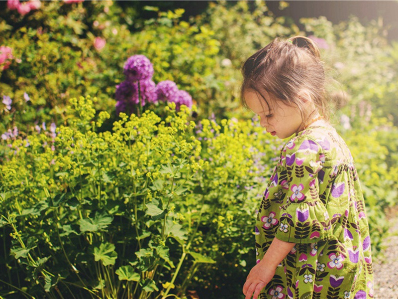 肇始造句,用肇始怎么造句子(42句)