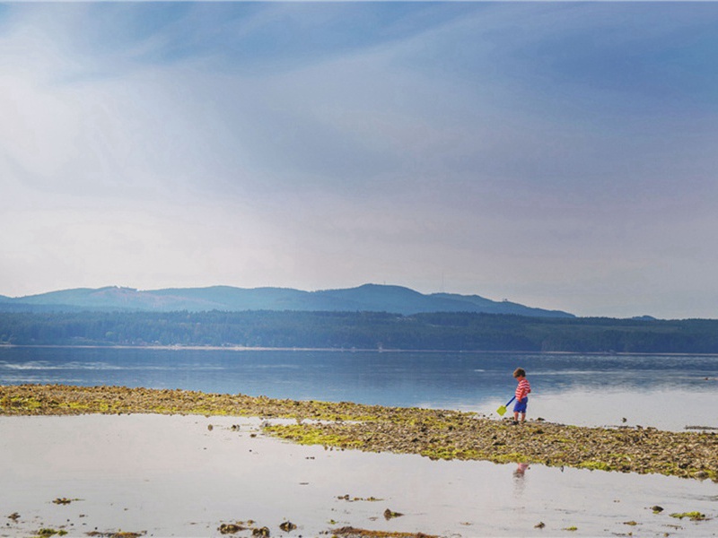 是非之心造句,用是非之心怎么造句子(22句)