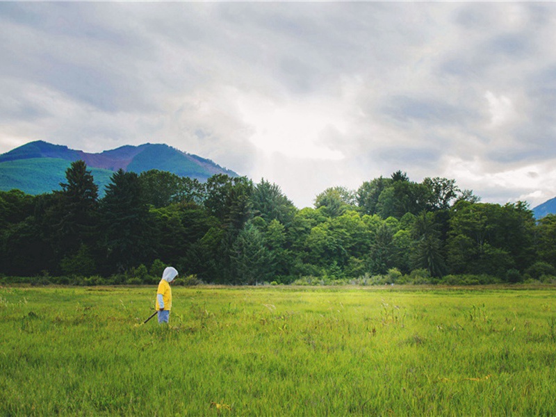 蓬乱造句,用蓬乱怎么造句子(57句)