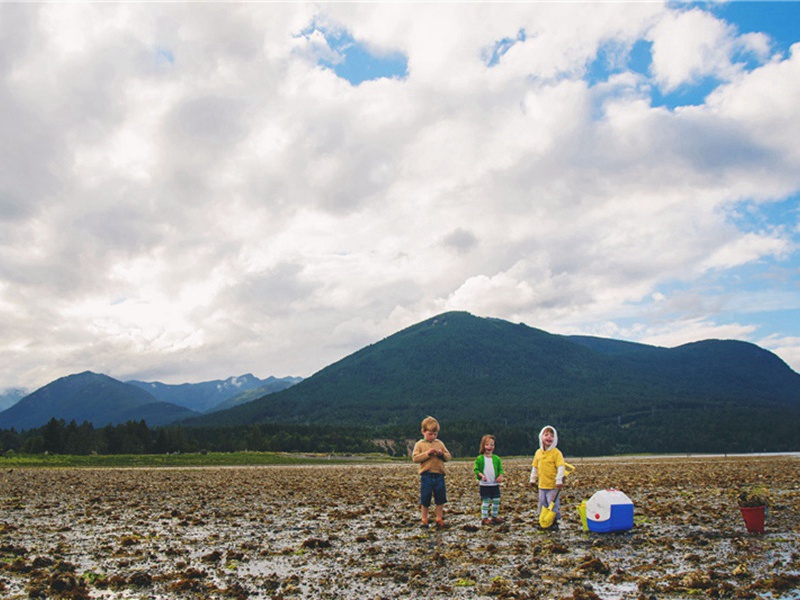 人财两空造句,用人财两空怎么造句子(27句)