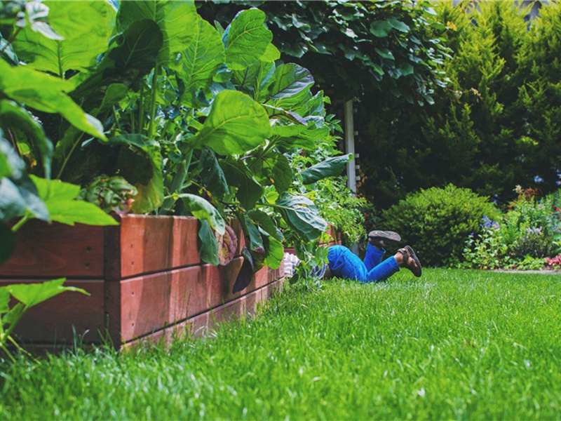 不忠造句,用不忠怎么造句子(148句)