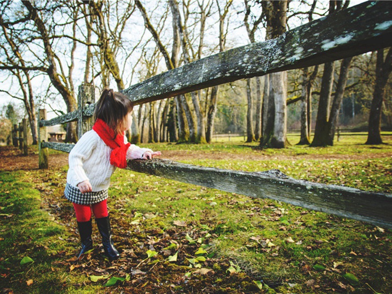 御剑造句,用御剑怎么造句子(62句)