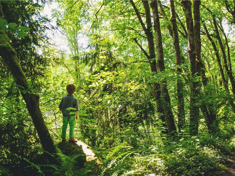 足彩造句,用足彩怎么造句子(30句)