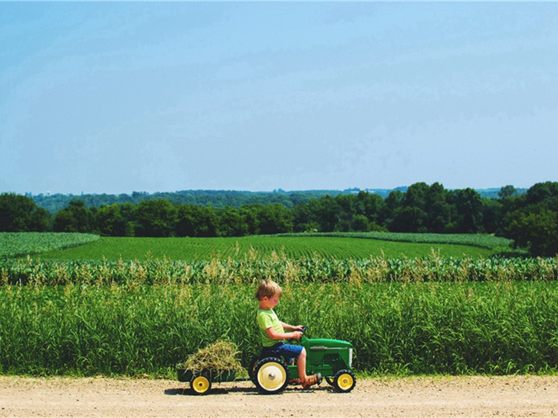 遭受到造句,用遭受到怎么造句子(54句)