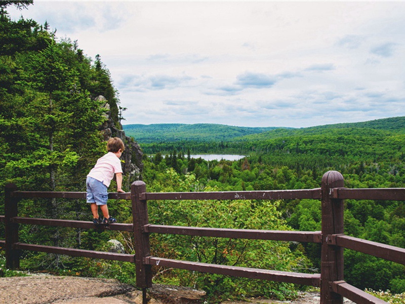 取了造句,用取了怎么造句子(180句)