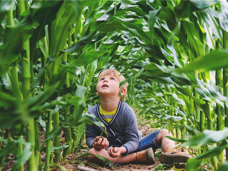 贼船造句,用贼船怎么造句子(32句)