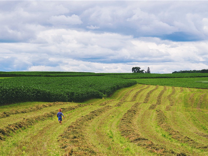 毫米造句,用毫米怎么造句子(169句)