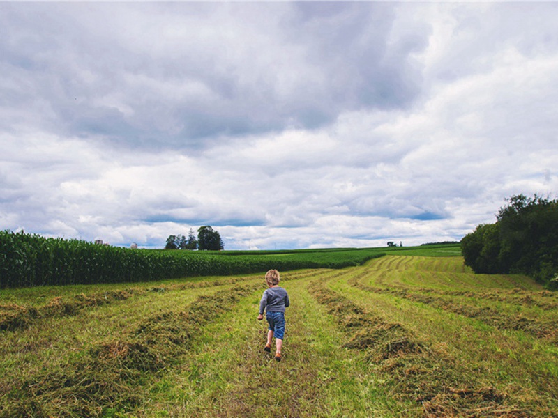 最流行造句,用最流行怎么造句子(111句)