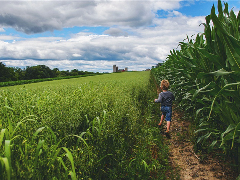 百年不遇造句,用百年不遇怎么造句子(52句)