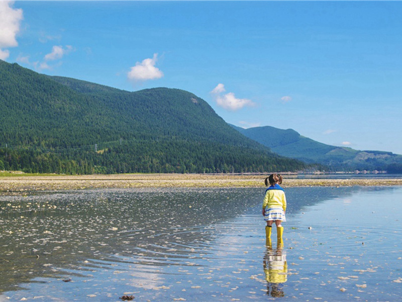 一又造句,用一又怎么造句子(29句)