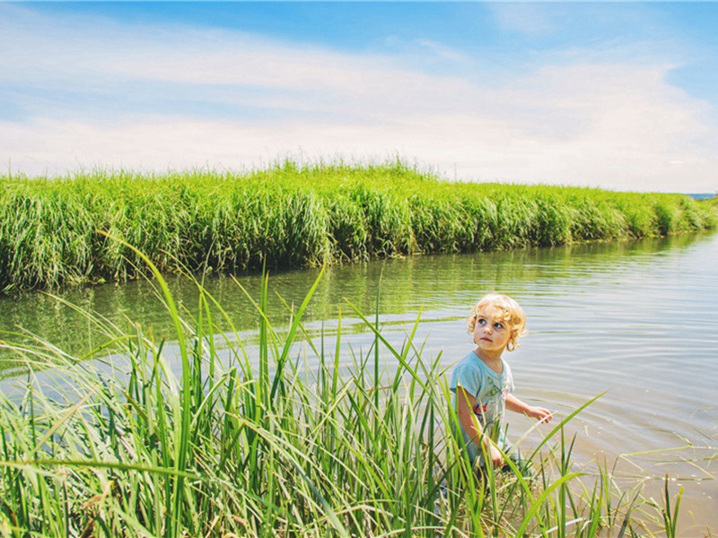 同前造句,用同前怎么造句子(108句)