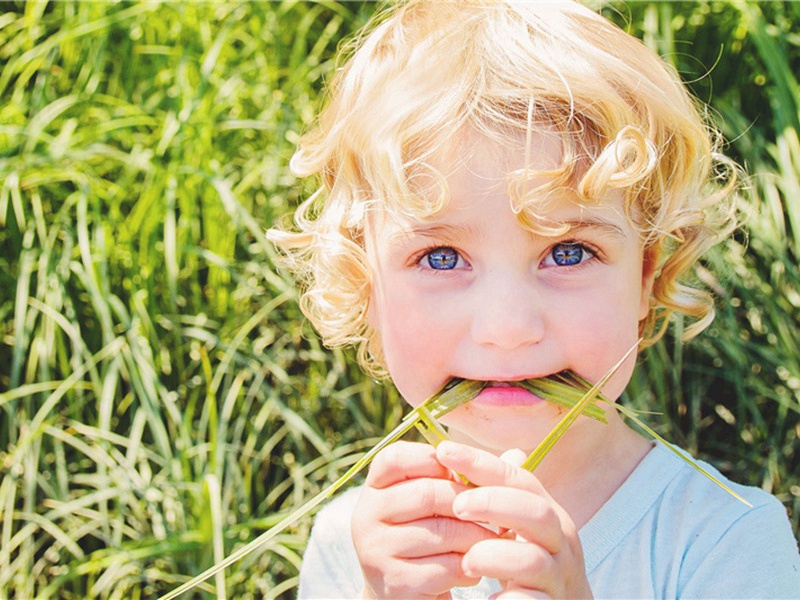 主要目造句,用主要目怎么造句子(180句)