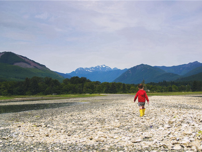 王土造句,用王土怎么造句子(29句)