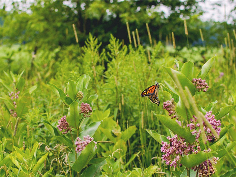 亚光造句,用亚光怎么造句子(33句)