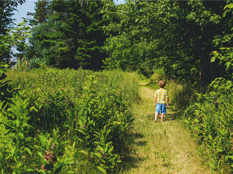 文博造句,用文博怎么造句子(97句)