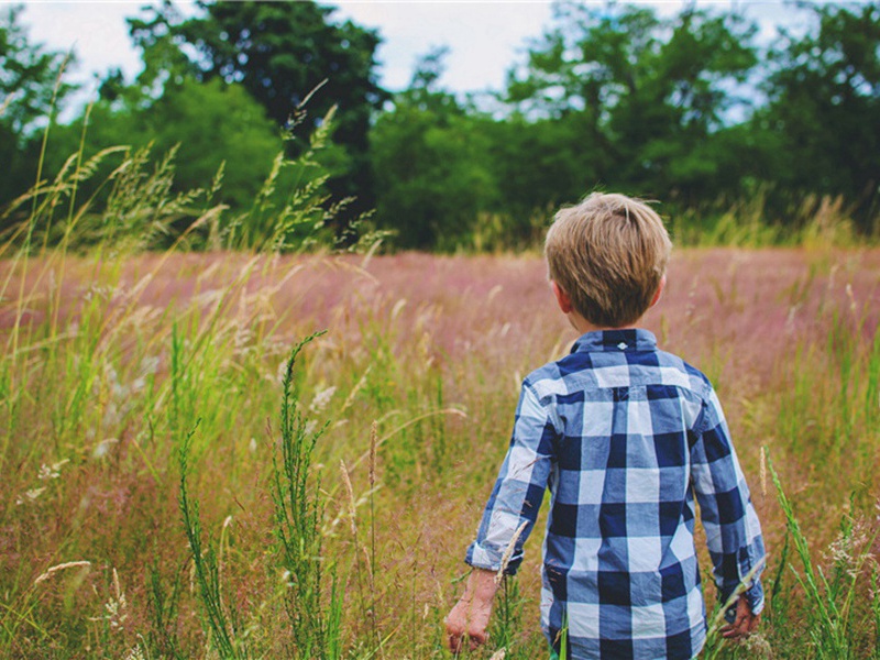 故意伤害造句,用故意伤害怎么造句子(57句)