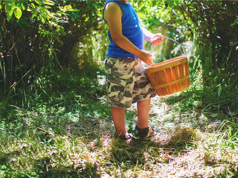 飞黄造句,用飞黄怎么造句子(140句)