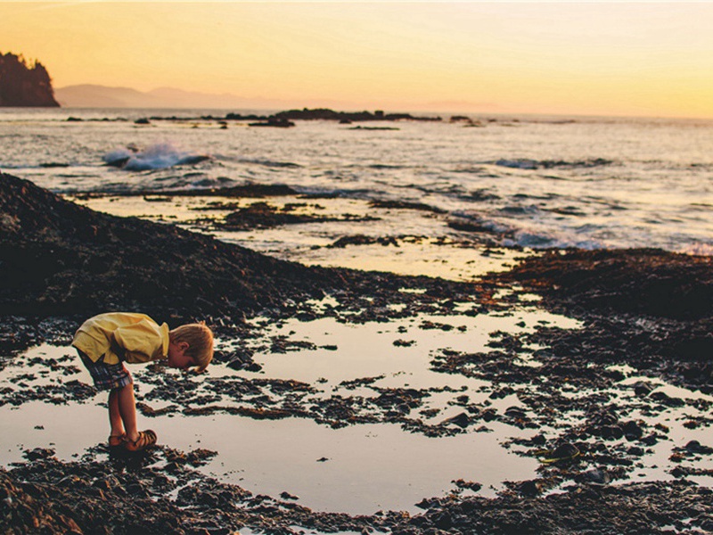 真实性造句,用真实性怎么造句子(149句)
