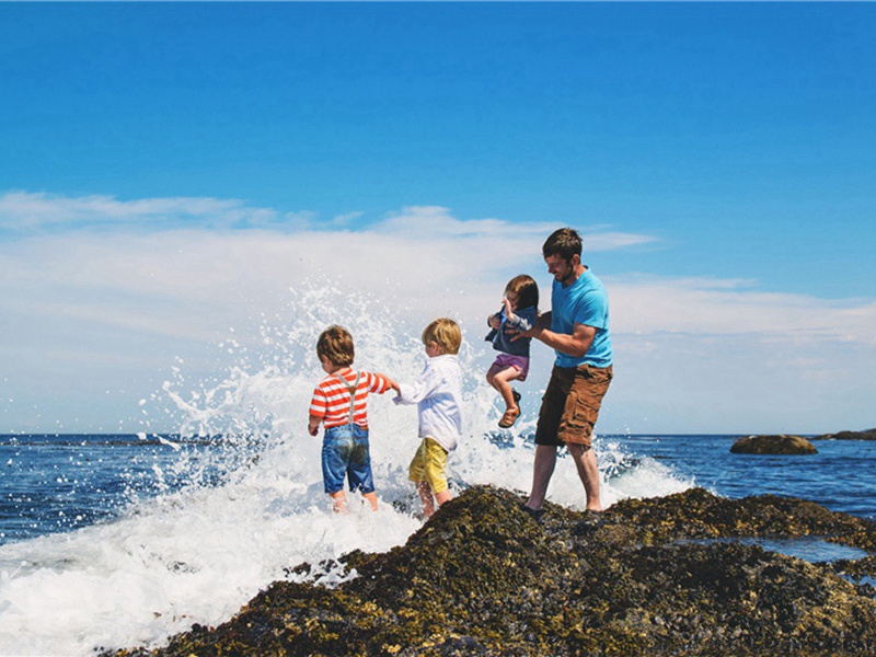 看其造句,用看其怎么造句子(96句)