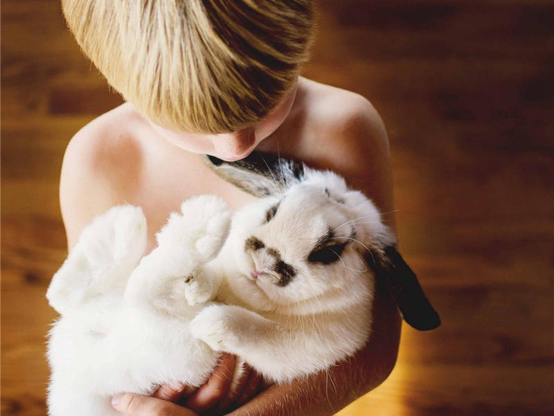 诚可贵造句,用诚可贵怎么造句子(77句)