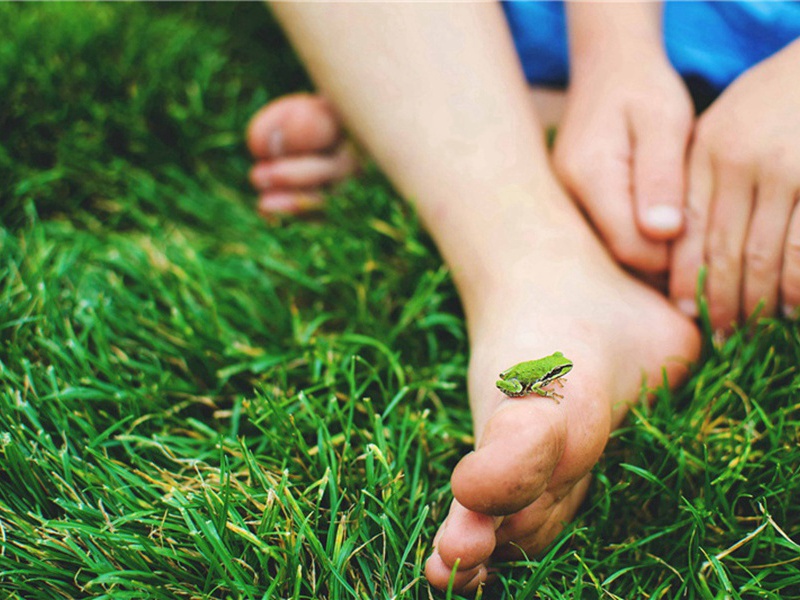 框框造句,用框框怎么造句子(113句)