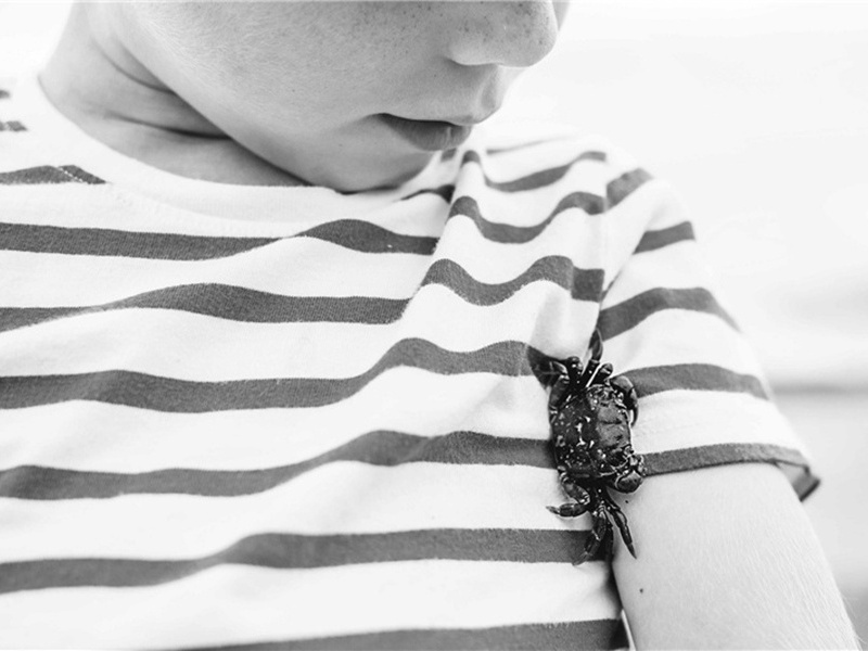 翘首以盼造句,用翘首以盼怎么造句子(18句)