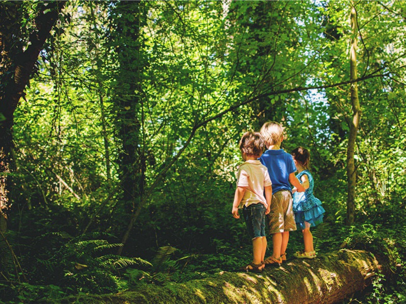 彻头彻尾造句,用彻头彻尾怎么造句子(114句)