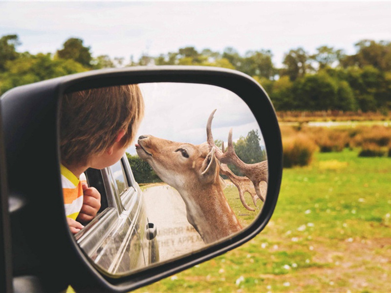 骑摩托车造句,用骑摩托车怎么造句子(52句)