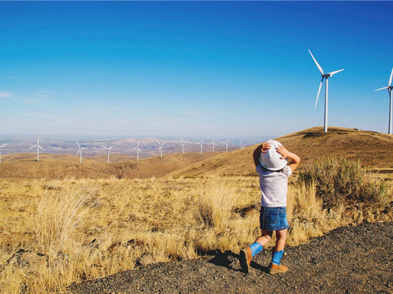 舍利造句,用舍利怎么造句子(116句)