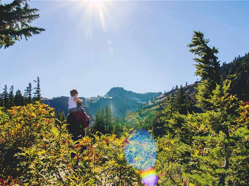 眼尖造句,用眼尖怎么造句子(55句)