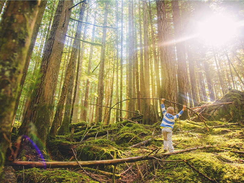 真想造句,用真想怎么造句子(179句)