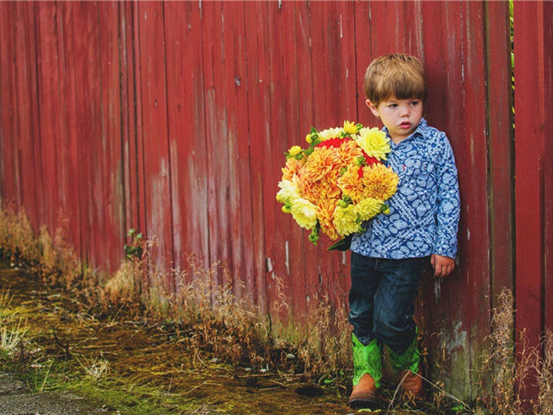 矿脉造句,用矿脉怎么造句子(46句)