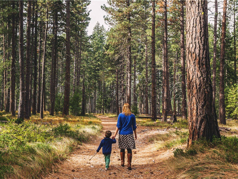 流干造句,用流干怎么造句子(70句)