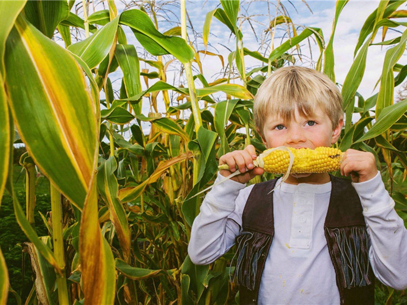 今古造句,用今古怎么造句子(70句)