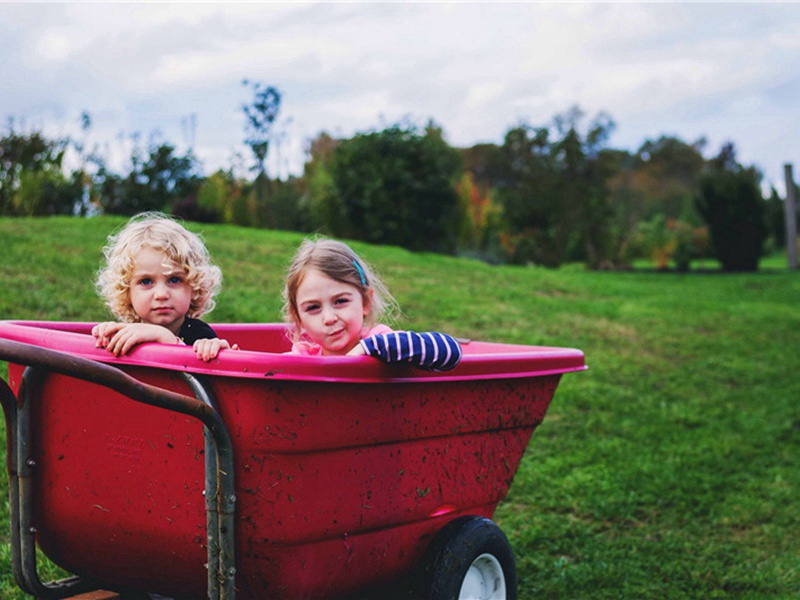 声嘶力竭造句,用声嘶力竭怎么造句子(107句)