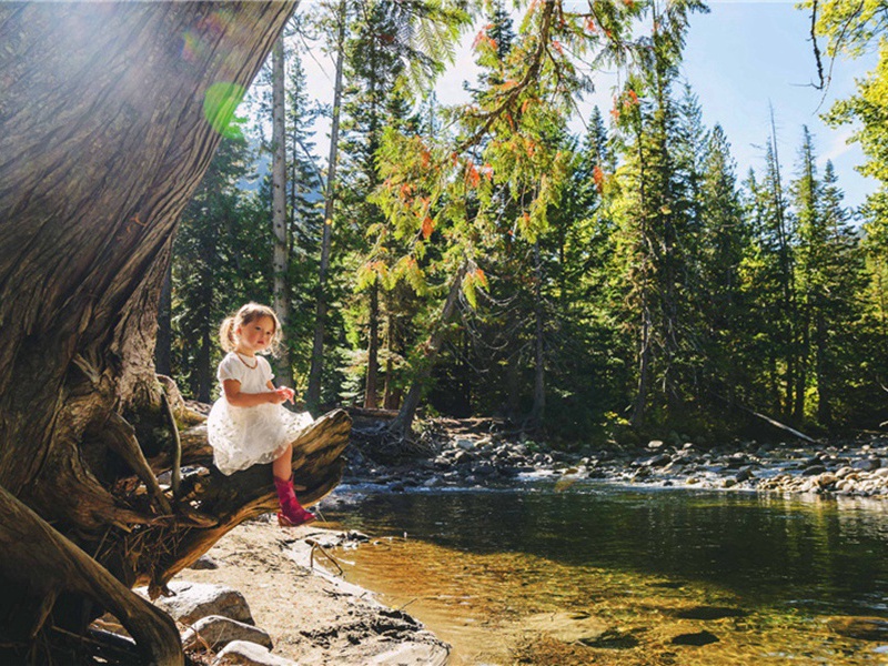 脱机造句,用脱机怎么造句子(33句)