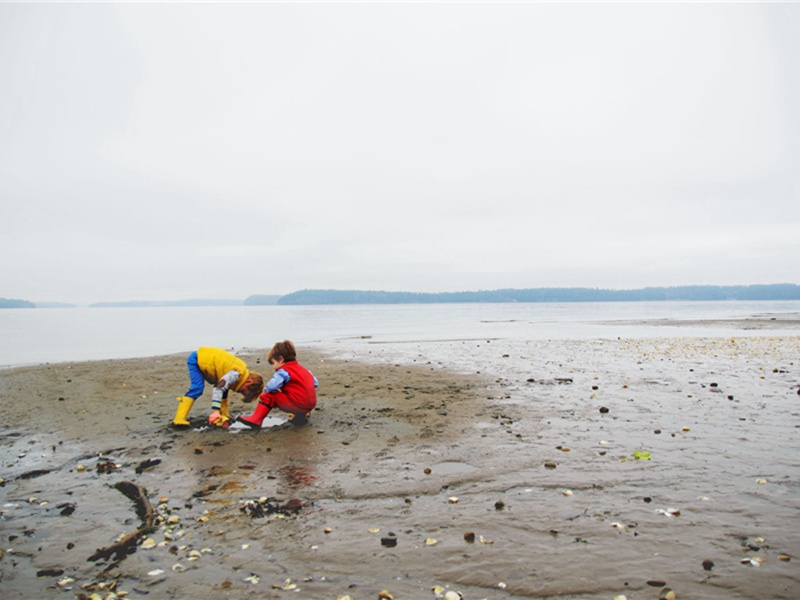 危急关头造句,用危急关头怎么造句子(46句)