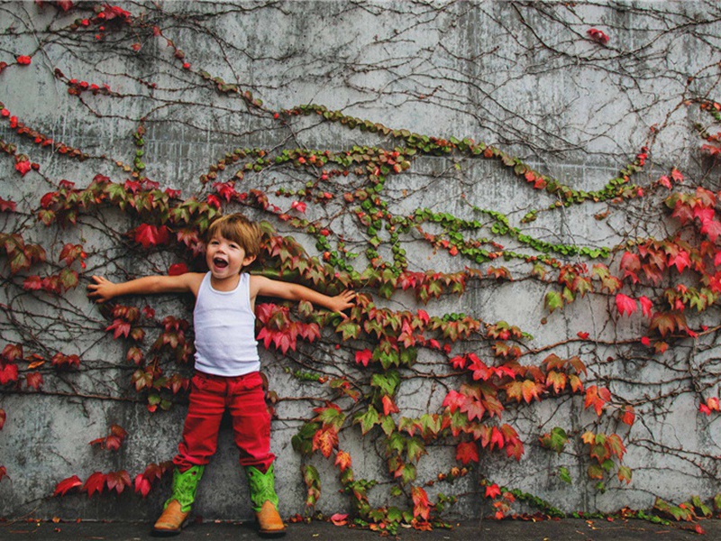 免费软件造句,用免费软件怎么造句子(31句)