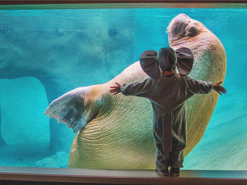 再也不会造句,用再也不会怎么造句子(180句)