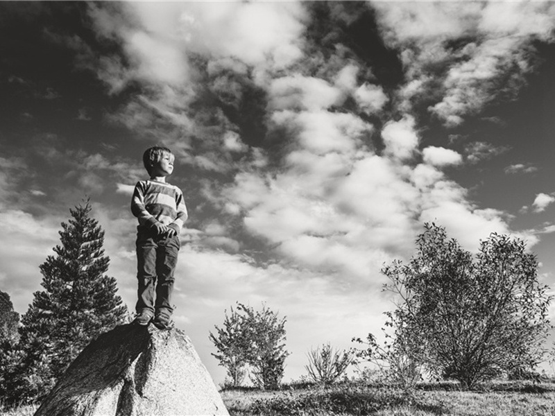 引导造句,用引导怎么造句子(180句)