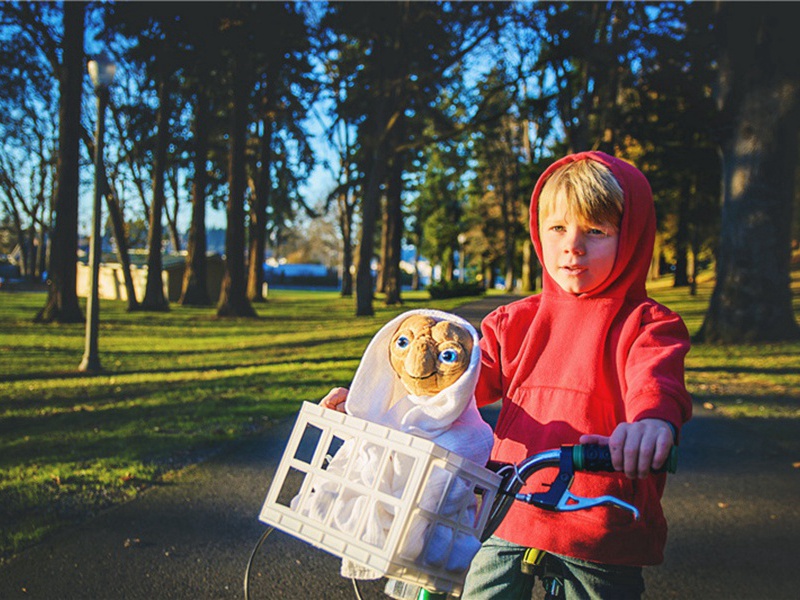旱区造句,用旱区怎么造句子(40句)