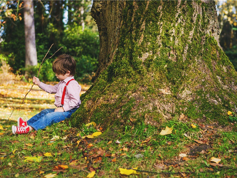 找到了造句,用找到了怎么造句子(180句)