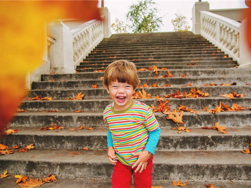 高速铁路造句,用高速铁路怎么造句子(86句)