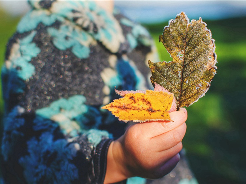 香味造句,用香味怎么造句子(176句)