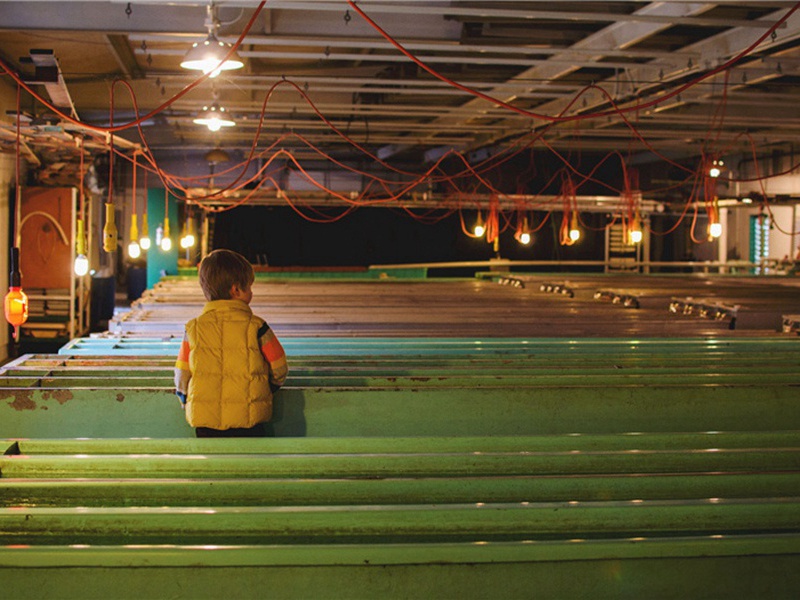 富的造句,用富的怎么造句子(180句)