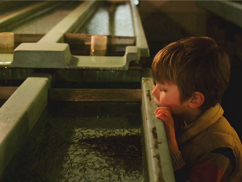 这日造句,用这日怎么造句子(152句)