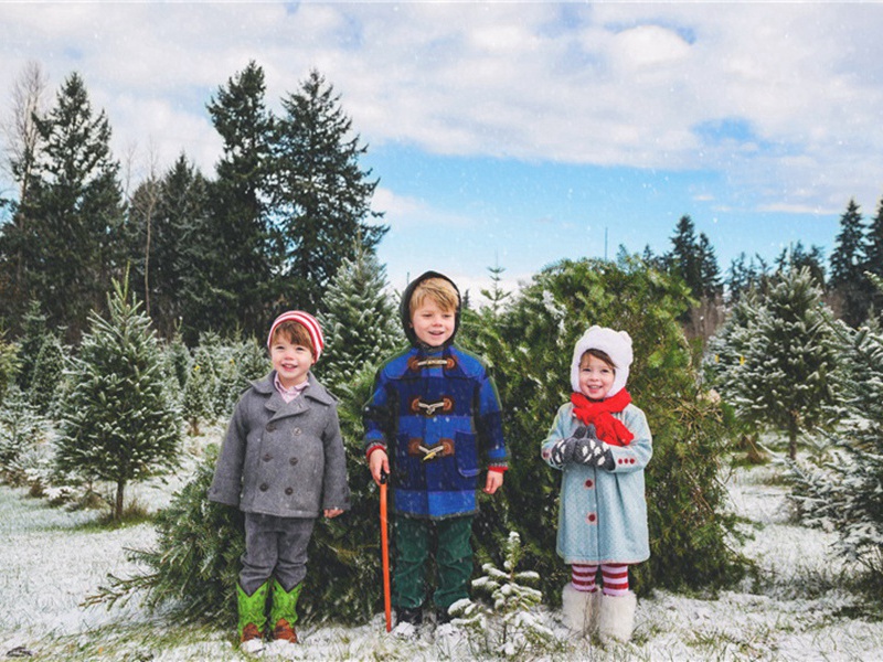 撞入造句,用撞入怎么造句子(21句)