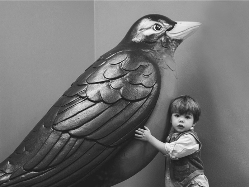 它又造句,用它又怎么造句子(180句)